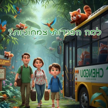 למה הפנדות צמחוניות